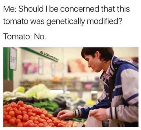 GMO tomato.jpg